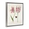 Stupell Industries Classic Tulip & Butterfly Framed Floater Canvas Wall Art Design by Jacob Marrel